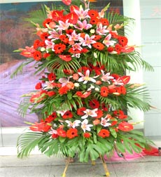 商务鲜花/大展鸿图