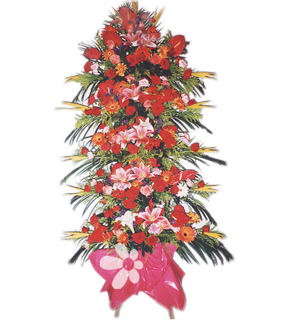 商务鲜花/骏业日新