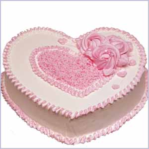 蛋糕/无糖蛋糕E