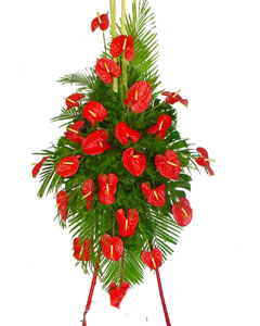 商务鲜花/红红火火