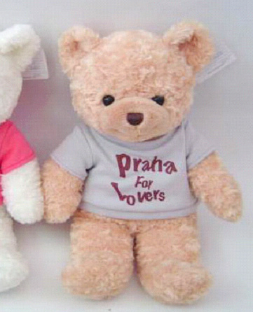 公仔/T恤熊(灰色/75cm)