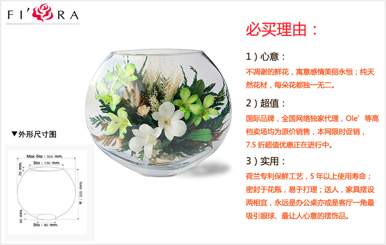 尺寸 尺寸