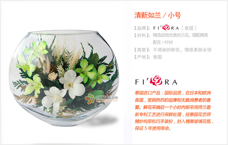清新如兰/小号 清新如兰/小号