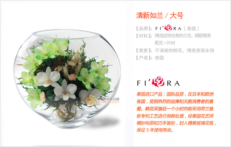 清新如兰/大号 清新如兰/大号