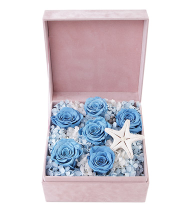 永生蓝玫瑰 永生蓝玫瑰