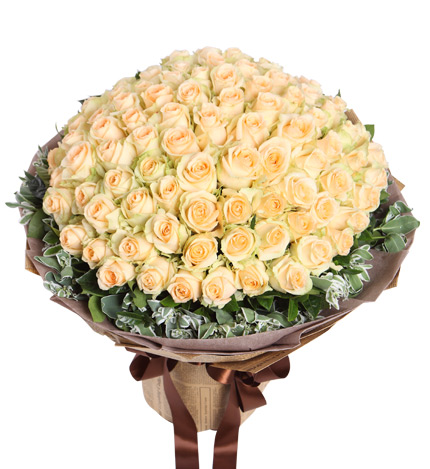 保加利亚国花香槟玫瑰,66朵香槟玫瑰求婚代表