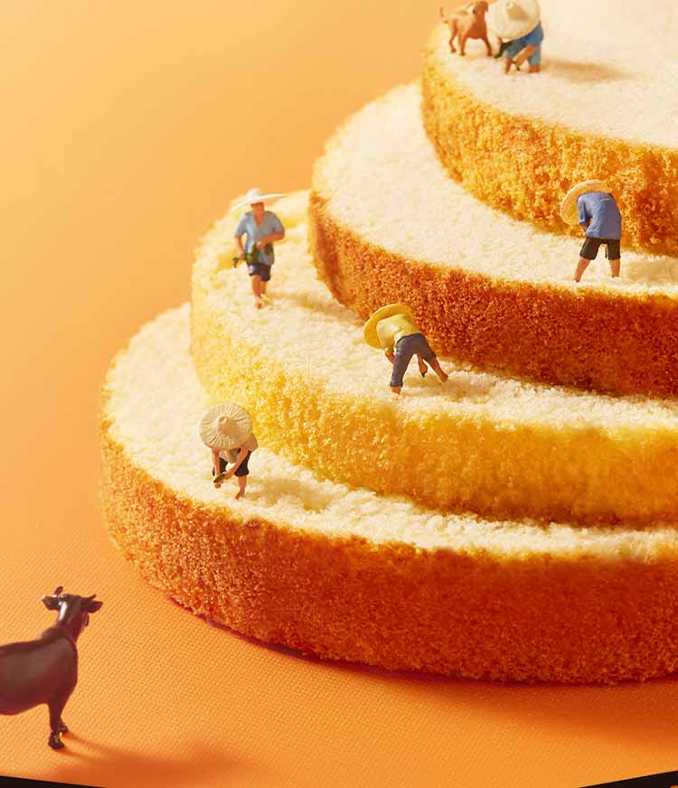 from clipboard from clipboard