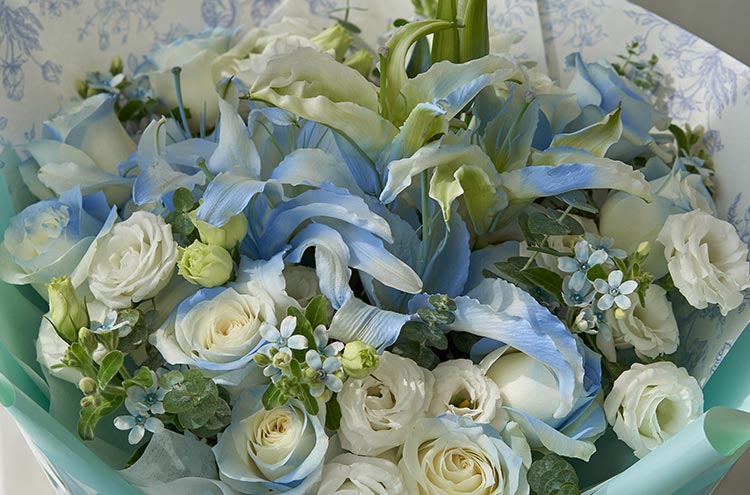 from clipboard from clipboard