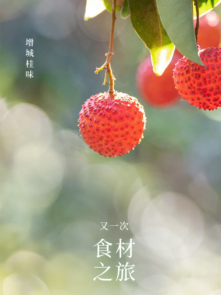 from clipboard from clipboard