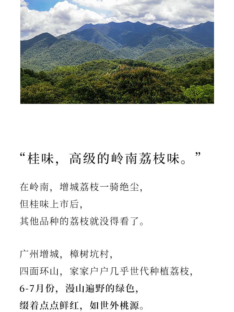 from clipboard from clipboard