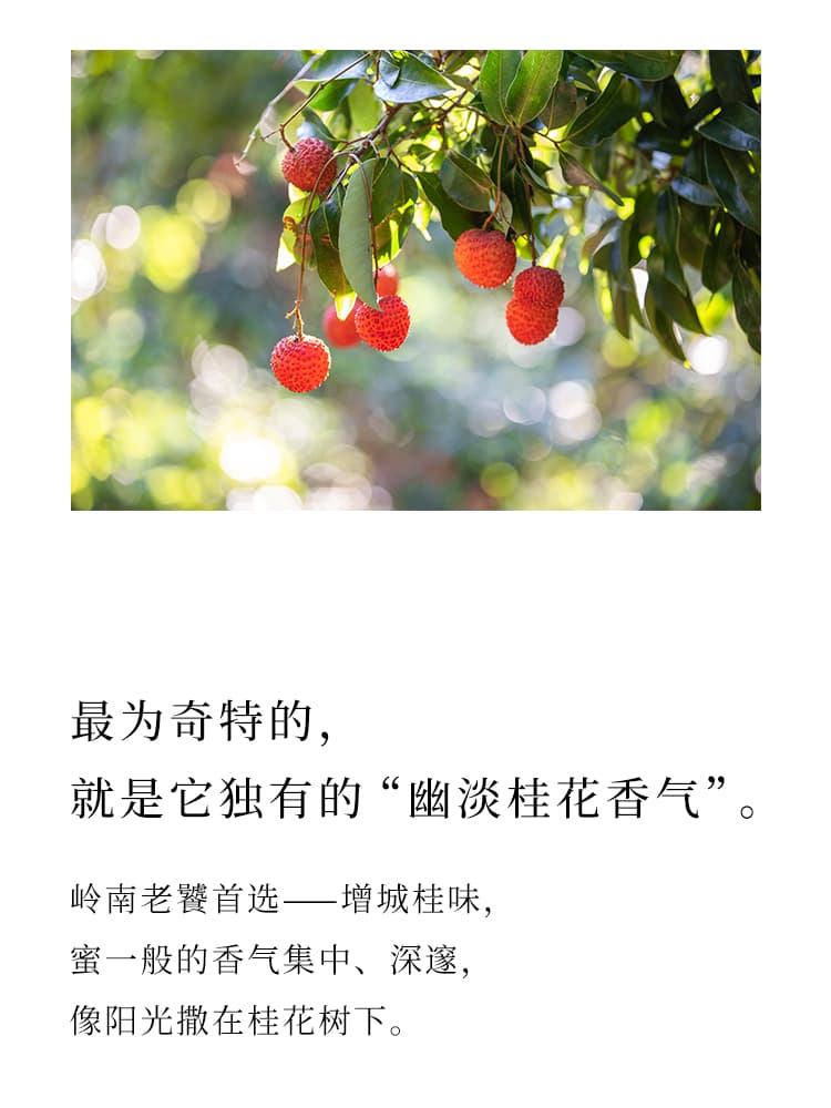 from clipboard from clipboard