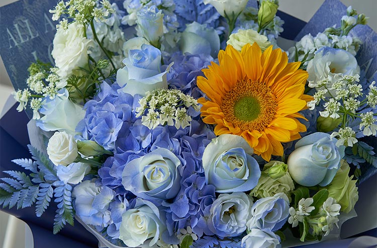 from clipboard from clipboard