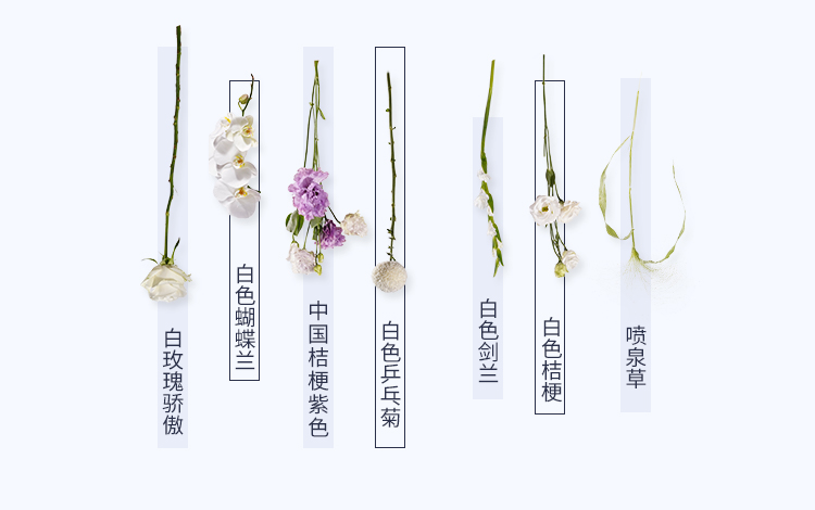 from clipboard from clipboard