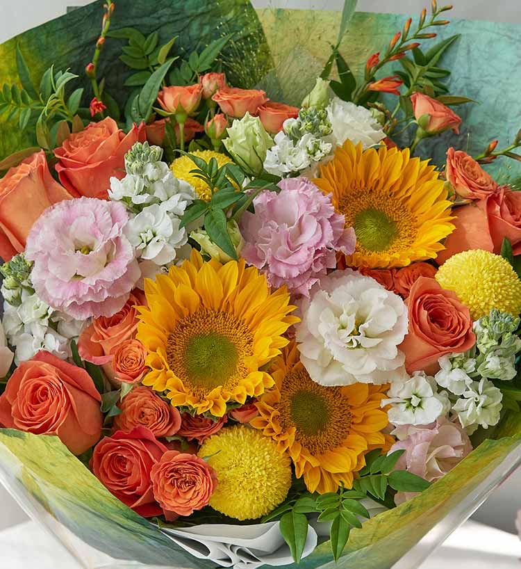 from clipboard from clipboard