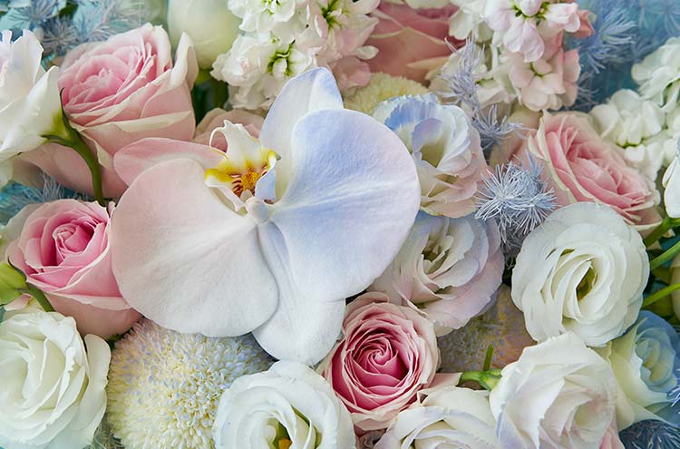 from clipboard from clipboard