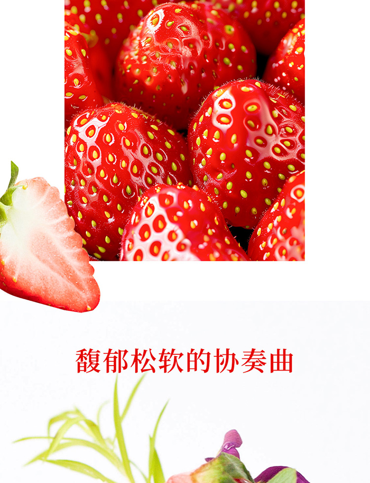 from clipboard from clipboard