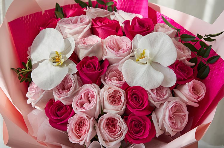 from clipboard from clipboard