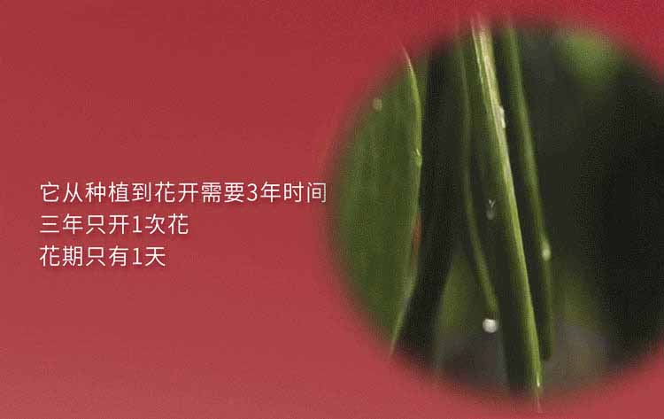 from clipboard from clipboard