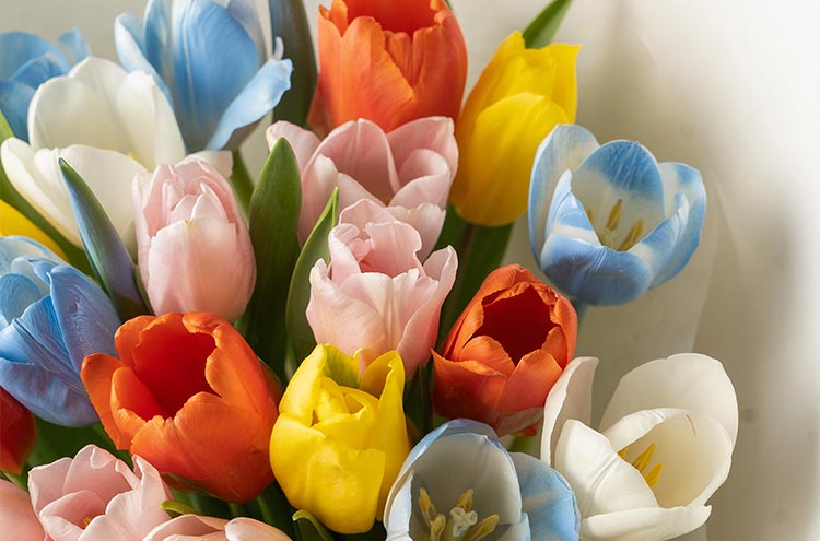 from clipboard from clipboard