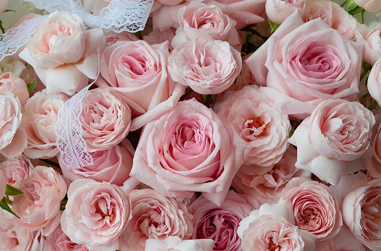 from clipboard from clipboard