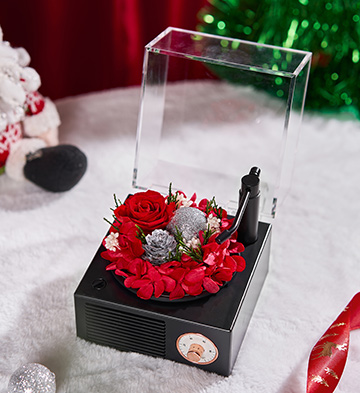 永生花留声机蓝牙音箱/深情红