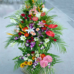 商务鲜花/步步高升