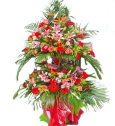 商务鲜花/好日子