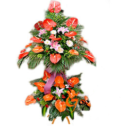 商务鲜花/百事亨通