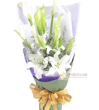 7枝白色马蹄莲图片