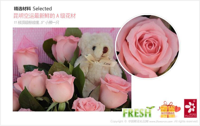 鲜花/爱的天使 详情图2