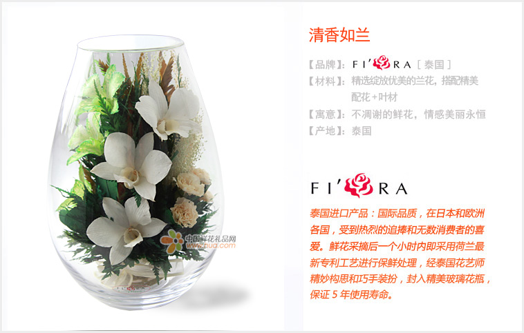 泰国进口保鲜花/清香如兰