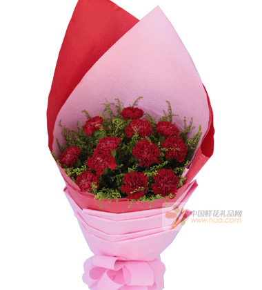 12枝红色康乃馨图片