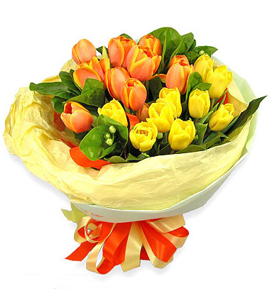 双色郁金香花束:郁来郁爱     通常是红色郁金香搭