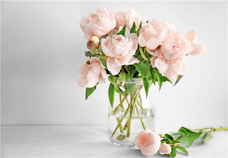情人节收到的鲜花 如何能保存持久 花礼网 鲜花礼品网