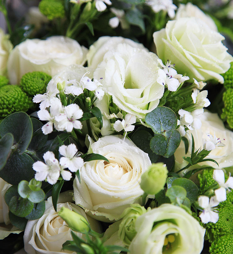 32朵白玫瑰的花语 32朵白玫瑰代表什么含义 花礼网 中国鲜花礼品网