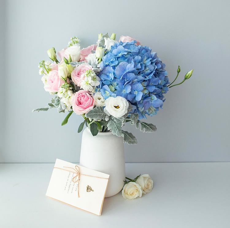 元气小精灵--蓝绣球1枝，粉雪山玫瑰9枝