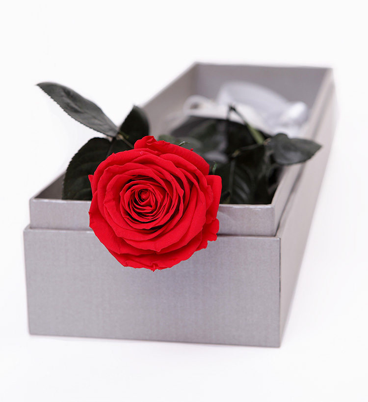 送红玫瑰代表什么 花礼网经典红玫瑰花束推荐 花礼网 中国鲜花礼品网