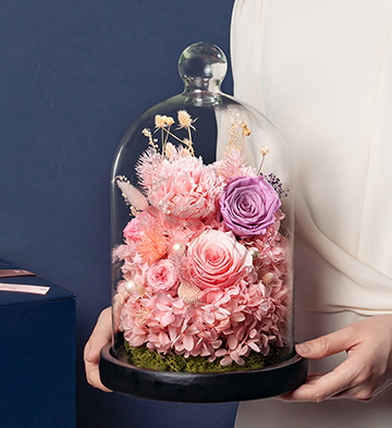 守护时光玻璃罩永生花/浪漫粉