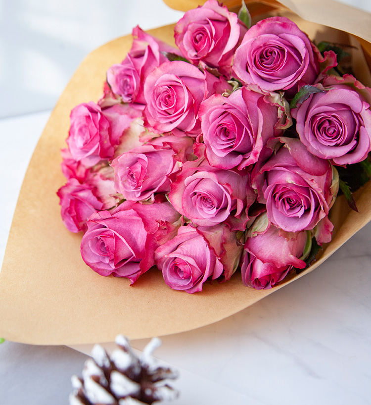 5枝-冷美人紫玫瑰