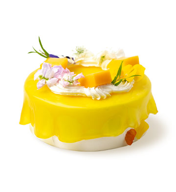 冰晶夏芒（2-4人食）