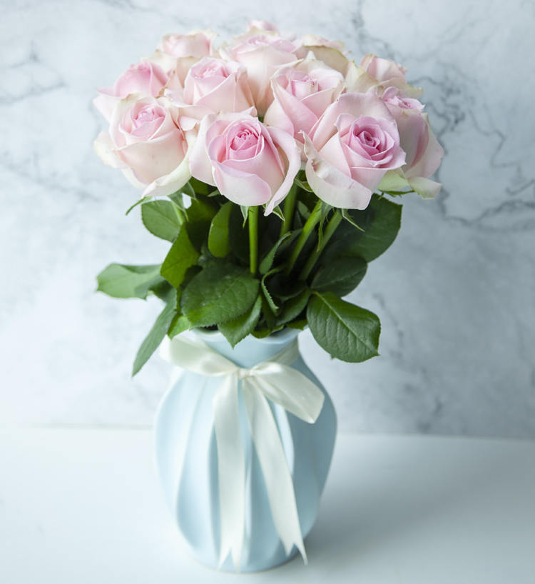 单枝粉佳人玫瑰:粉佳人玫瑰一枝_鲜花-花礼网(鲜花礼品网)