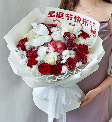 Merry Christmas/圣诞定制款